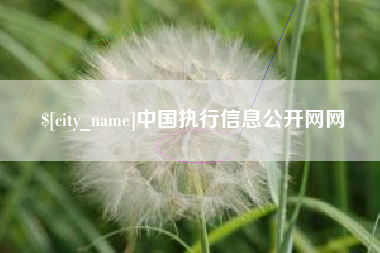 莒县中国执行信息公开网网
