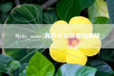 莒县消防证初级查询系统