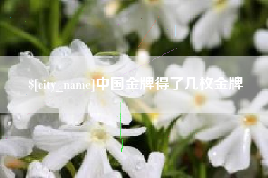 莒县中国金牌得了几枚金牌