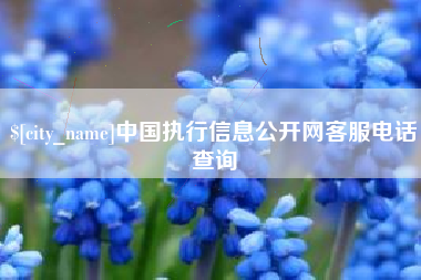莒县中国执行信息公开网客服电话查询