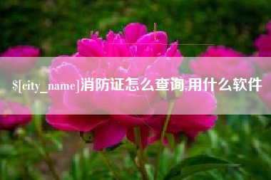 莒县消防证怎么查询,用什么软件