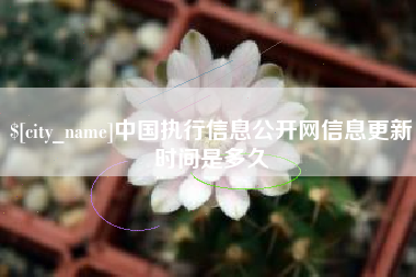 莒县中国执行信息公开网信息更新时间是多久