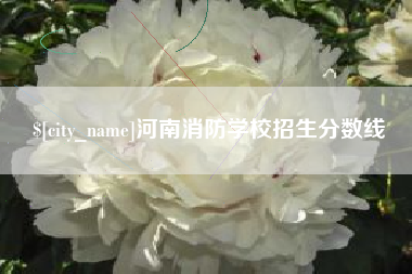 莒县河南消防学校招生分数线