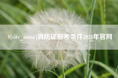 莒县消防证报考条件2024年官网