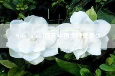 莒县现在中国金牌是多少