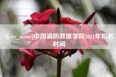 莒县中国消防救援学院2021年报名时间