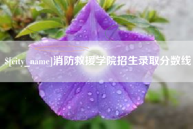莒县消防救援学院招生录取分数线