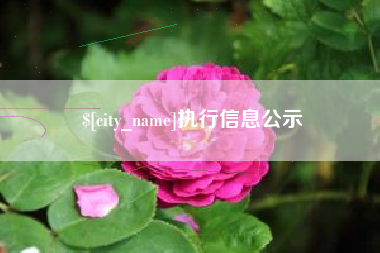 莒县执行信息公示