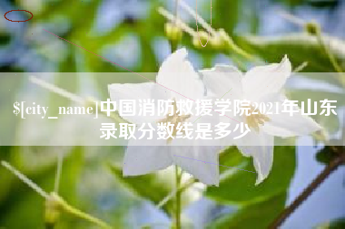 莒县中国消防救援学院2021年山东录取分数线是多少