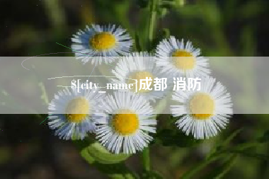 莒县成都 消防