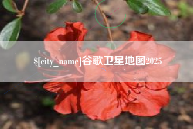 莒县谷歌卫星地图2025