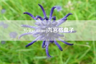 莒县九宫格盘子