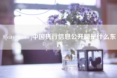 莒县中国执行信息公开网是什么东西