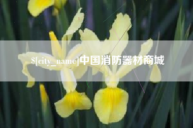 莒县中国消防器材商城
