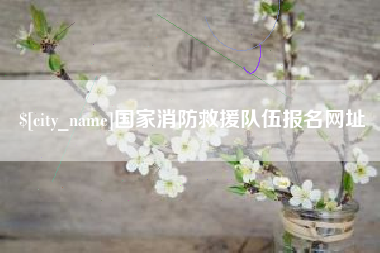 莒县国家消防救援队伍报名网址