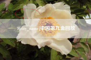 莒县中国第九金回放