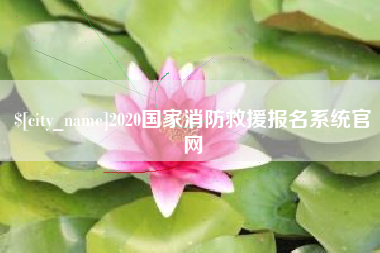 莒县2020国家消防救援报名系统官网