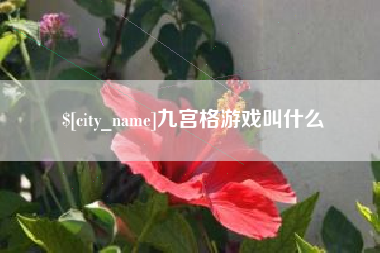 莒县九宫格游戏叫什么