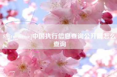 莒县中国执行信息查询公开网怎么查询