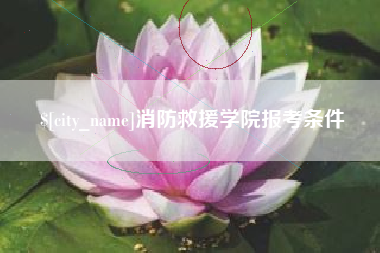 莒县消防救援学院报考条件