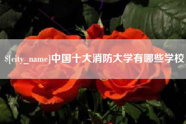 莒县中国十大消防大学有哪些学校
