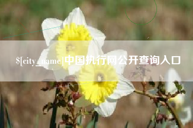 莒县中国执行网公开查询入口