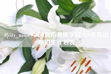 莒县中国消防救援学院2020年在山东招生计划表