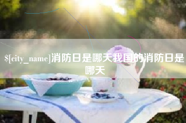 莒县消防日是哪天我国的消防日是哪天