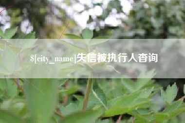 莒县失信被执行人杳询
