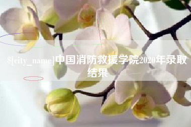 莒县中国消防救援学院2020年录取结果
