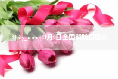 莒县11月9日全国消防日图片