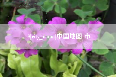 莒县中国地图 市