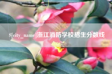 莒县浙江消防学校招生分数线