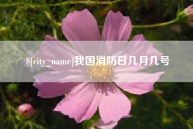 莒县我国消防日几月几号
