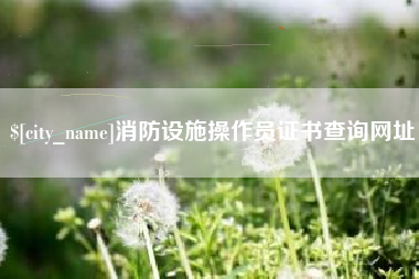 莒县消防设施操作员证书查询网址