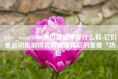 莒县5000米世界冠军穿什么鞋-它们是运动员取得优异成绩背后的重要“功臣”