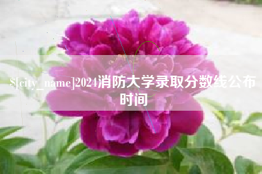 莒县2024消防大学录取分数线公布时间