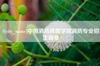 莒县中国消防救援学院消防专业招生简章