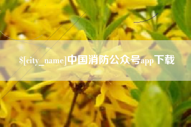 莒县中国消防公众号app下载