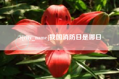 莒县我国消防日是哪日