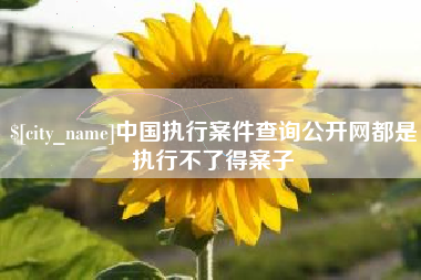 莒县中国执行案件查询公开网都是执行不了得案子
