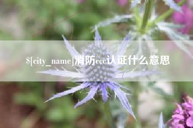 莒县消防ccc认证什么意思