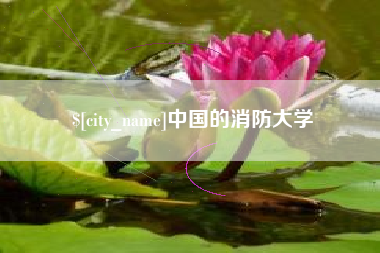 莒县中国的消防大学