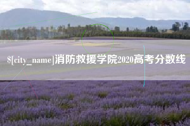 莒县消防救援学院2020高考分数线