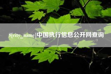 莒县中国执行信息公开网查询