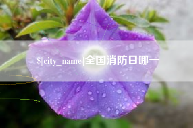莒县全国消防日哪一