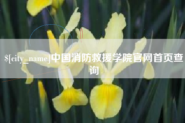 莒县中国消防救援学院官网首页查询