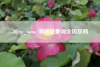 莒县消防证查询全国联网