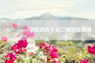 莒县中国消防平台二维码在哪里