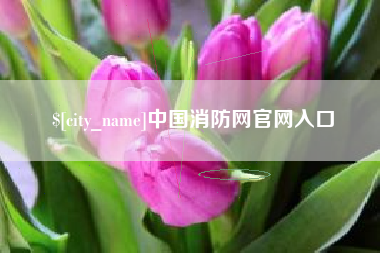 莒县中国消防网官网入口